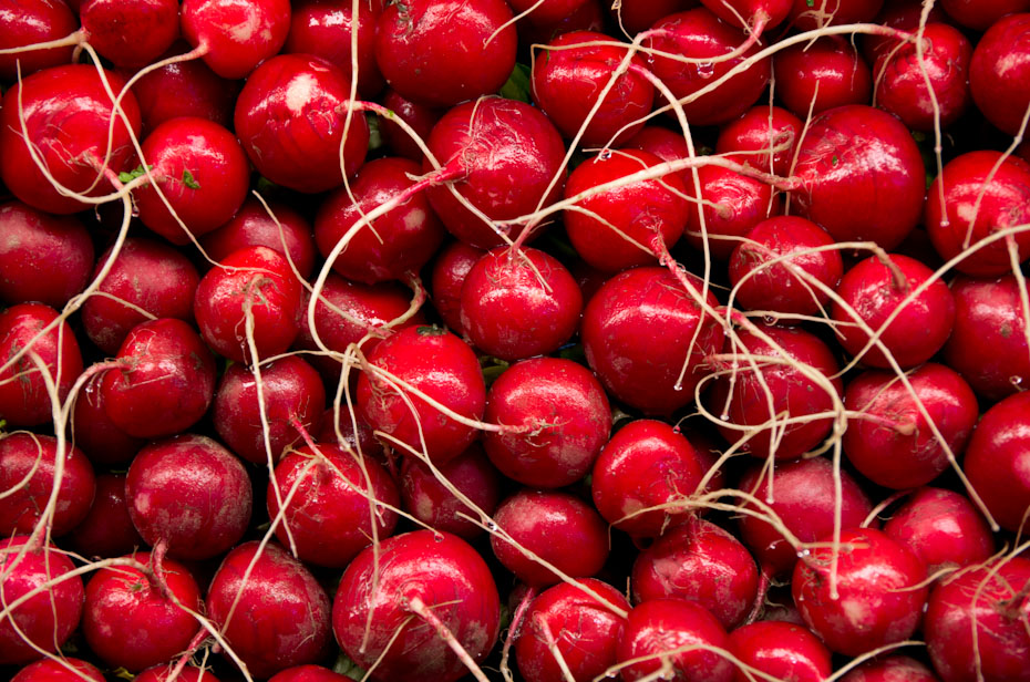 73 Radishes