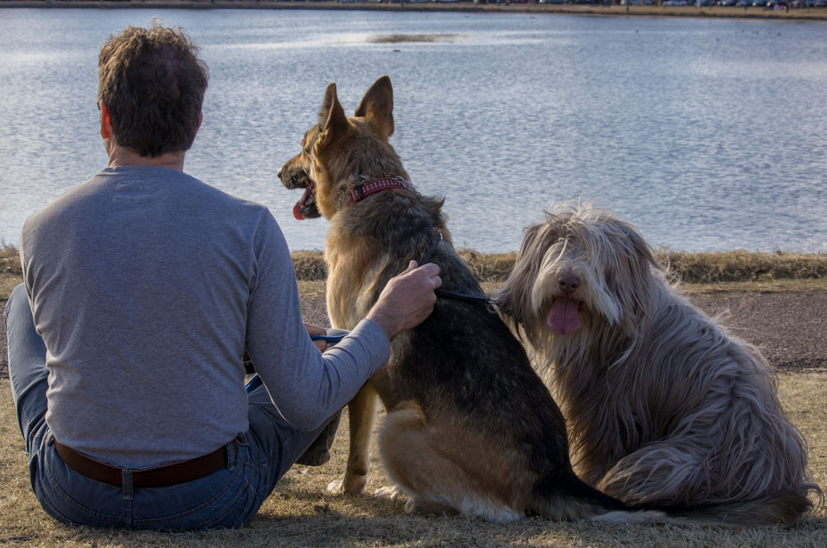 Relaxing by the Lake