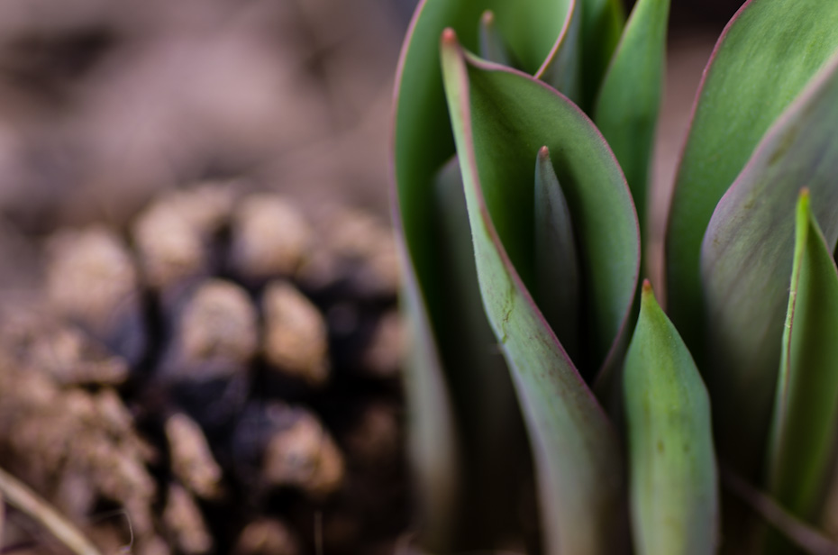 Signs of Life
