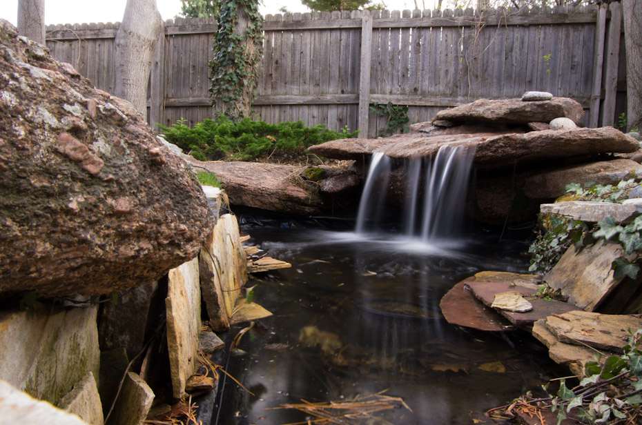 Leaky & Disheveled Pond