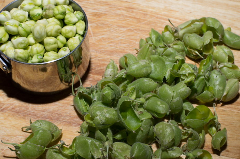 Shucking Chickpeas