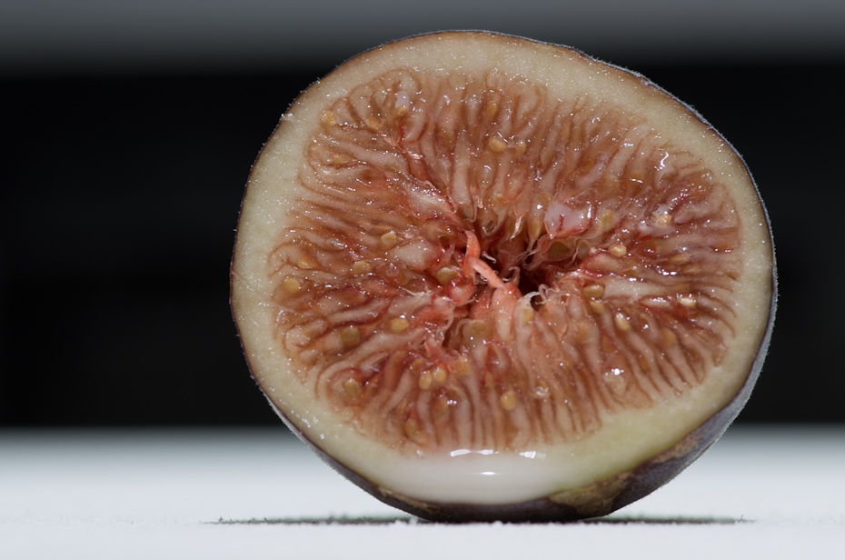 Fall is for Figs