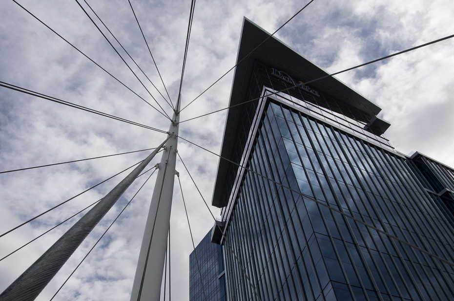 Cable-Stayed